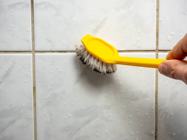 Best Bathroom Mold Remediation in Bella Vista, CA