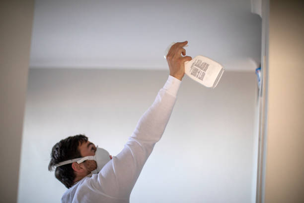 Best Commercial Mold Remediation in Bella Vista, CA
