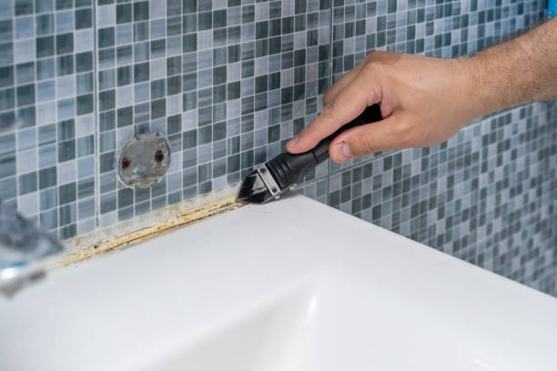 Best Health and Safety Mold Remediation in Bella Vista, CA