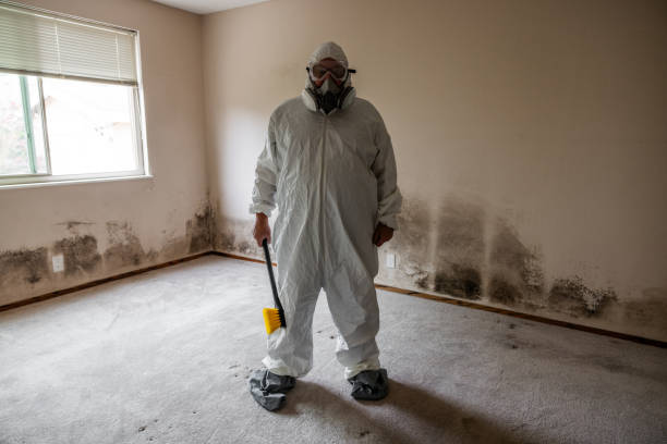 Best Crawl Space Mold Remediation in Bella Vista, CA